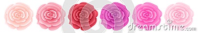 Sef of roses. Vector image. Pink rose, white rose, red rose Vector Illustration